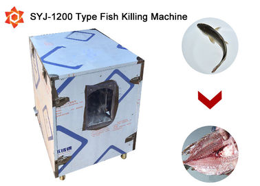 380v / 220v Voltage Fish Washing Machine 2.2 - 3.0kw Power 2 Year Warranty