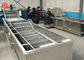 Industrial Vegetable Washing Equipment 800 Kg/H Capacity Save Water High Efficiency