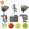 Potato Washing Peeling Vegetable Processor Machine Small Electric 0.75kw Power