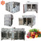 Mini Gas Solar Industrial Food Dehydrator Non Electric Stable Performance